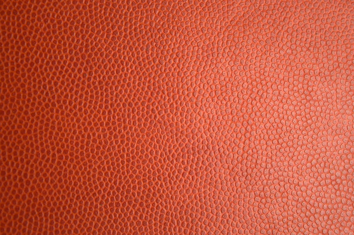 Close-up of tanned leather