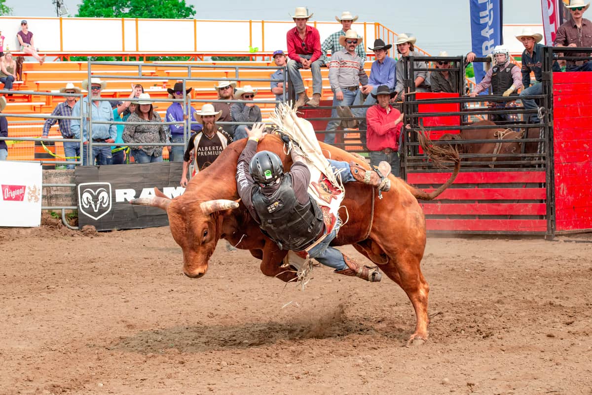 A rodeo event in an arena